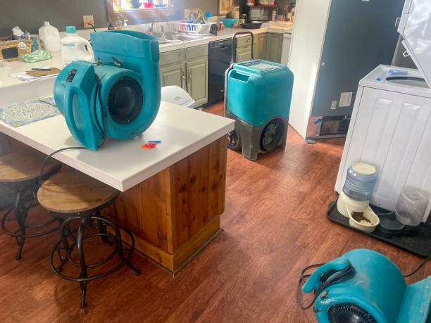 Best Water damage contractors near me  in Stickney, IL