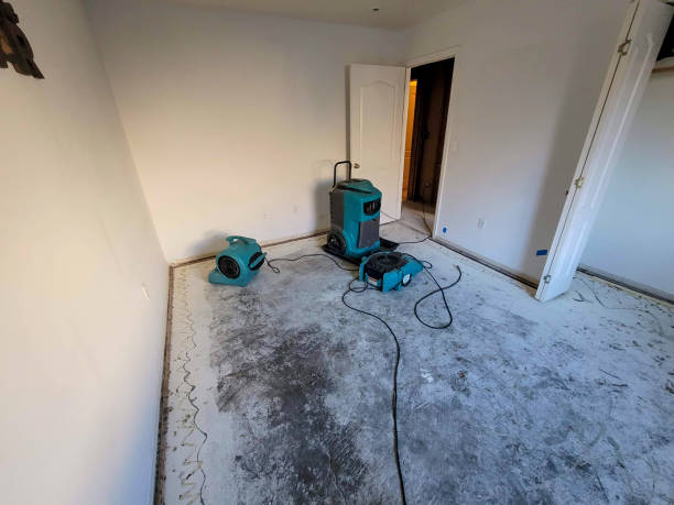 Best Sewage cleanup and water damage restoration  in Stickney, IL