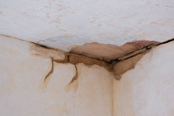 Best 24-hour water damage restoration  in Stickney, IL