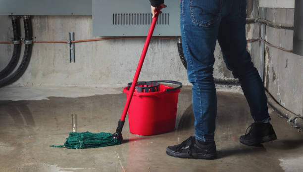 Best Sewage cleanup and water damage restoration  in Stickney, IL