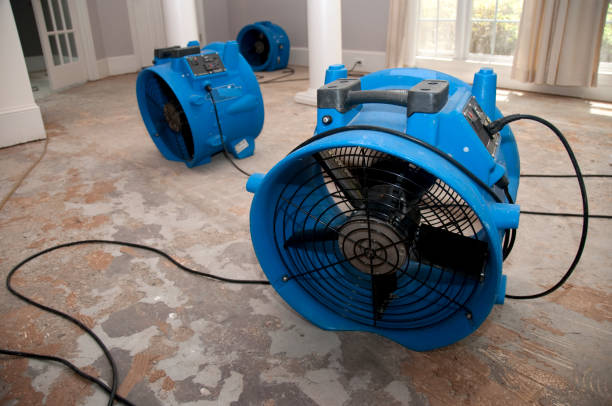 Best Commercial water damage restoration  in Stickney, IL