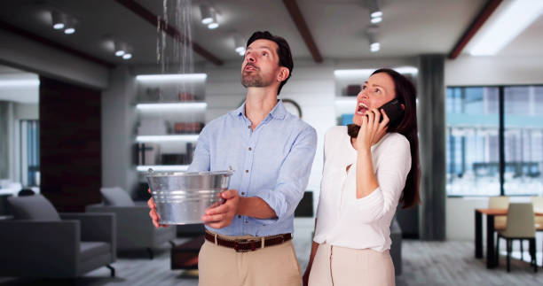 Best Commercial water damage restoration  in Stickney, IL